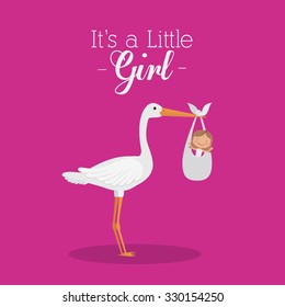baby on the way design, vector illustration eps10 graphic 
