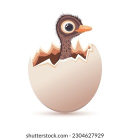 A baby ostrich in an eggshell. Cartoon drawing. Head of an ostrich chick. Ostrich egg. Feathered baby ostrich hatching from egg. Vector. Closeup. 