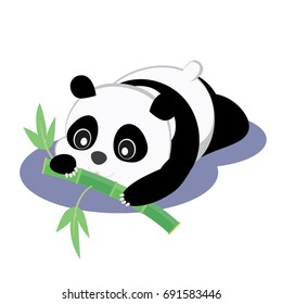 Baby Panda 