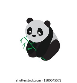 A baby Panda with bamboo