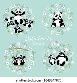 Baby panda collection. Cute little pandas with mom. The illustrations are decorated with floral elements.