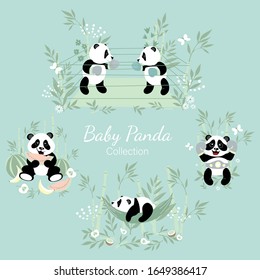 Baby panda collection. Little pandas are engaged in boxing, a little panda sleeps in a hammock, a panda eats a watermelon.