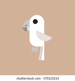 baby parrot