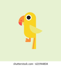 baby parrot