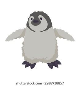 baby penguin artic animal character