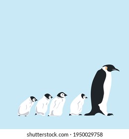 BABY PENGUINS FALLOWING MAMY PENGUIN