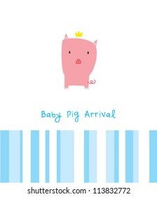 baby pig arrival