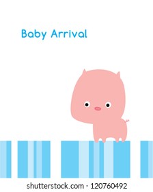 baby pig arrival