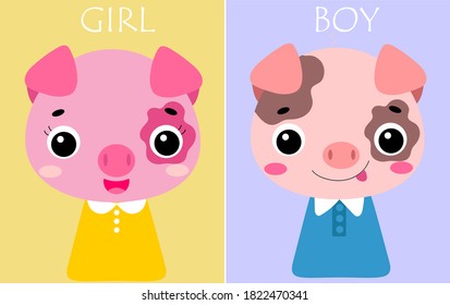 baby pig girl and boy postcard