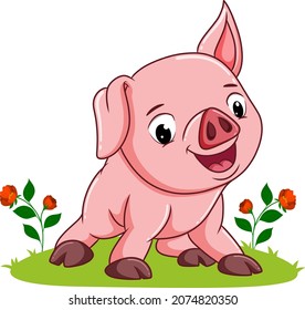 The baby pig is giving the happy expression of illustration