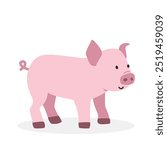 Baby pig piglet vector illustration. Cute pink piglet cartoon clipart, animal in flat style. Farm animals concept, rural farming. Livestock animal baby pig vector design isolated on white background