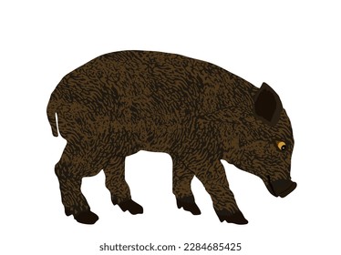 Baby pig vector illustration isolated on white background. Pork meat. Farm animal symbol. Domestic swine. Breeding boar. Organic food. Little piglet symbol. Butcher shop wallpaper poster.