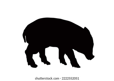 Ilustración de silueta vector de cerdo bebé aislada en fondo blanco. Carne de cerdo. Cartel de papel tapiz de la tienda de carniceros. Símbolo animal de granja. Cerdos domésticos. Cría de jabalí. Comida orgánica. Pequeño símbolo de lechón.