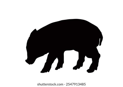 Ilustração da silhueta do vetor do porco do bebê isolado no fundo branco. Carne de porco. Cartaz de papel de parede de açougue. Símbolo do animal da exploração. Suínos domésticos. Varrasco reprodutor. Alimentos orgânicos. Símbolo de leitão pequeno.