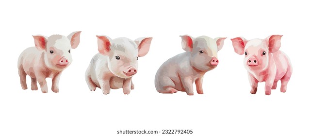 Baby Pig watercolor isolated on white background. Pink pig farm animal vector illustration