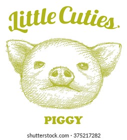 Baby piggy face. Vector
