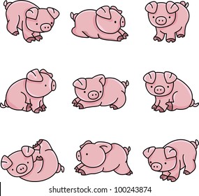 Porcos Bebês