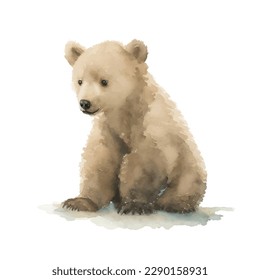 baby polar bear with style hand drawn digital painting illustration