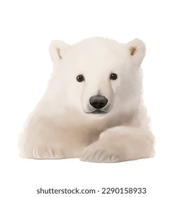 baby polar bear with style hand drawn digital painting illustration