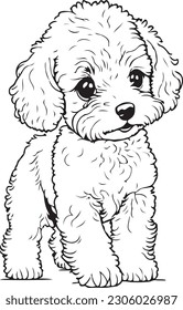 Baby Poodle walking, coloring page for children from 3 to 6 years,simple line, clean line art, high detailed, no background, White, black, coloring book, sketchbook, realistic sketch illustration.