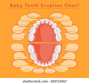 Baby prelimanary tooth eruption chart. Vector illustration. Editable image on a light orange background.Children teeth infographic. Poster or leaflet template.