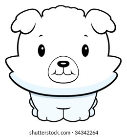 Baby Puppy