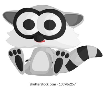 Baby Raccoon