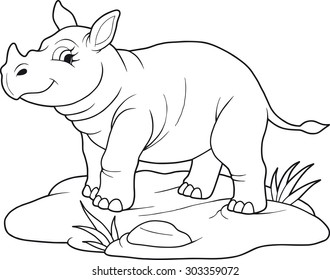 baby rhino