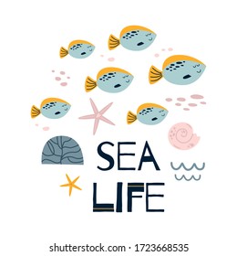 Baby room wall art Cute poster children room with funny fish, sea, text Sea life. Baby print Grey smiling fish vector