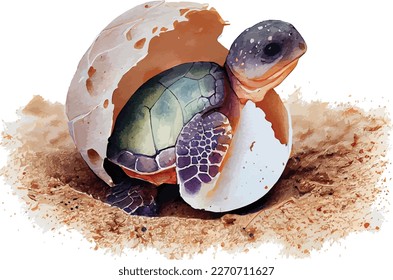 Baby sea turtle is hatching from egg on sand vector art.