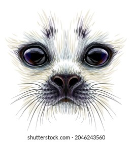 A baby seal. Creative design. Graphic, color portrait of a baby seal close-up in watercolor style on a white background. Digital vector graphics.