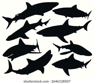 Baby shark. A set of dangerous shark illustrations. Underwater, ocean, undersea animal swimming silhouetted. Various poses Silky sharks different view. Hammerhead minnows Silhouette Isolated Vector.