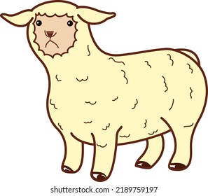 baby sheep with cute face