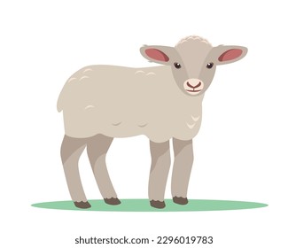 Baby sheep icon. Farm animal. Wool meat production. Lamb isolated on white background. Vector flat or cartoon illustration.