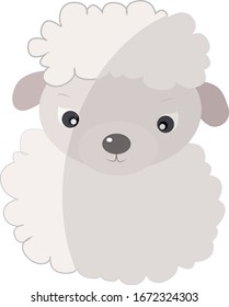 Baby sheep, illustration, vector on white background.
