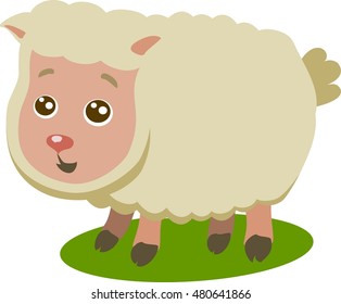 Baby Sheep Isolated Vector