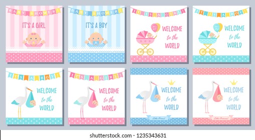 Baby Shower boy girl card. Vector. Sweet pink blue banner with newborn kid, stork, flag, polka dot. Baby girl boy design. Birth party poster Cute template invite background Pastel cartoon illustration