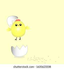 Baby shower card. Chick vector print. Yellow chick greeting card, cartoon illustration.  Kids cards for  the birthday, banner, poster.  Birthday greetings.  Easter.