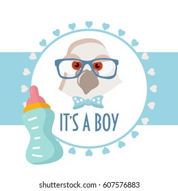 Baby shower card "It's a boy". Baby shower party invitation template with a boyish pigeon. Baby birth celebration.