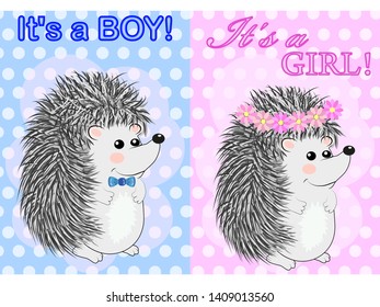 Baby Shower greeting card with babies Hedgehog boy and girl