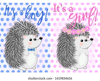 Baby Shower greeting card with babies Hedgehog boy and girl