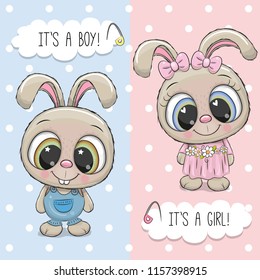 Baby Shower greeting card with Cute Rabbits boy and girl