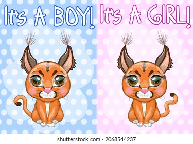Baby Shower greeting card with Cute boy and girl. Caracal steppe lynx with beautiful eyes in cartoon style, colorful illustration for children. Caracal cat with characteristic ears, spots and color