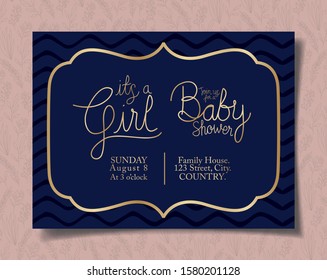 Baby shower invitation design, Party card decoration love celebration arrival and born theme Vector illustration
