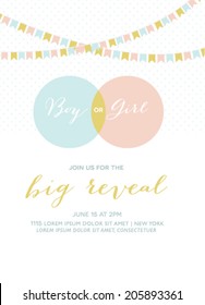 Baby Shower Invitation Gender Reveal Card 