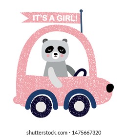 Baby shower vector illustration. It is a girl. Panda drives a car. Greeting card.
