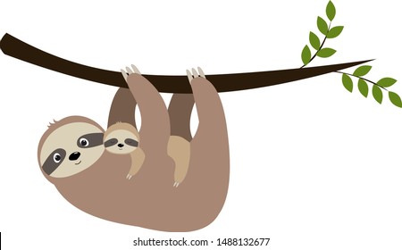 Baby sloth cute vector illustration