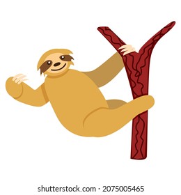 Baby sloth hanging on a branch isolated. Cute and funny. Flat cartoon style. Nature and ecology. Southern and Central America fauna. Amazonia animal. Kids post card, poster, graphic design, textile