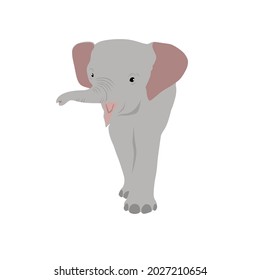 Baby Sumatran Elephant takes 10 to 30  minutes to be able to stand up. Male calves will leave their natal group by the time.