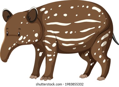 Baby Tapir Wild Animal On White Background Illustration